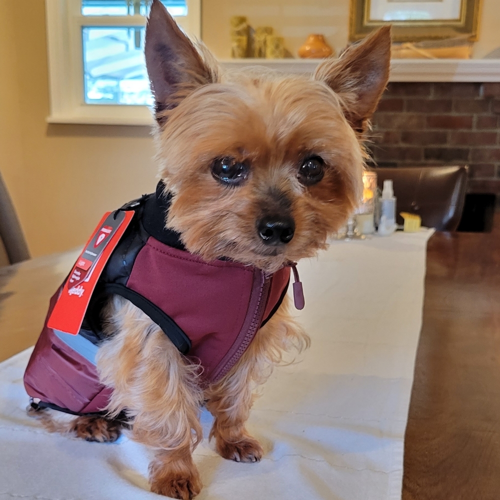 🌟 Host Pick! 🌟 Reflective Dog Puffer Vest S
